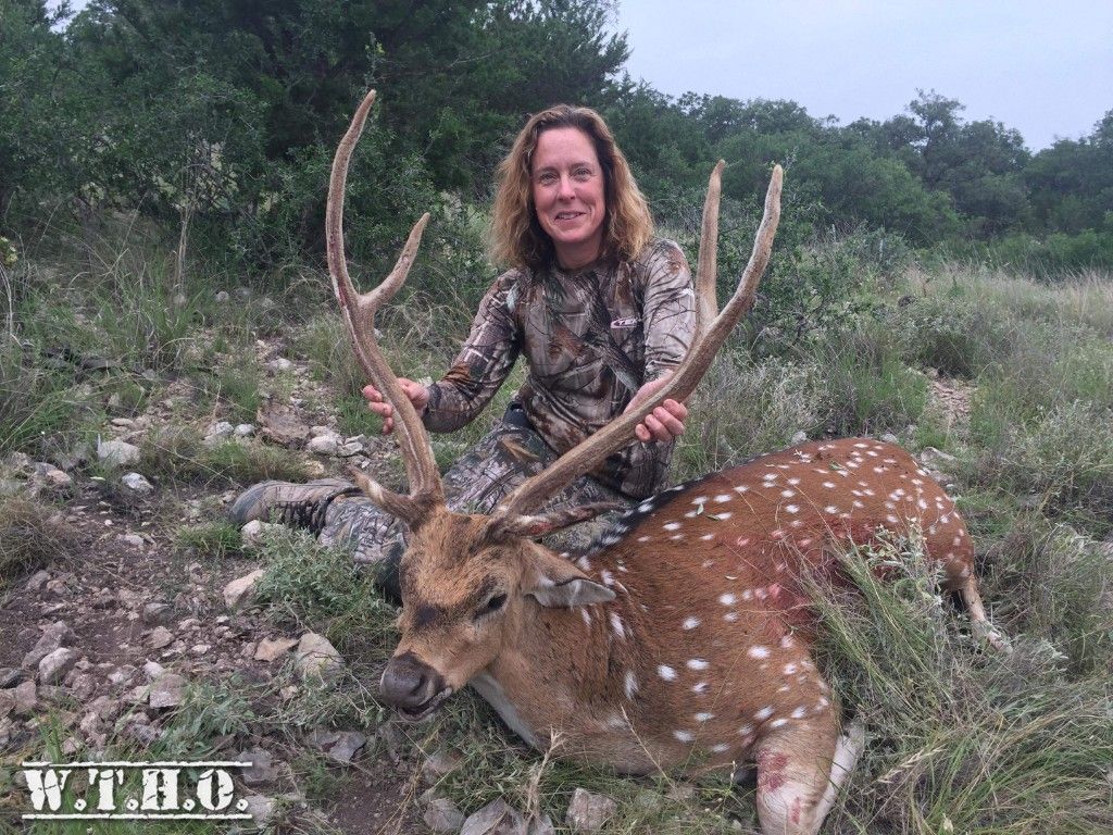 An Axis Filled Week - Texas Hunting Forum